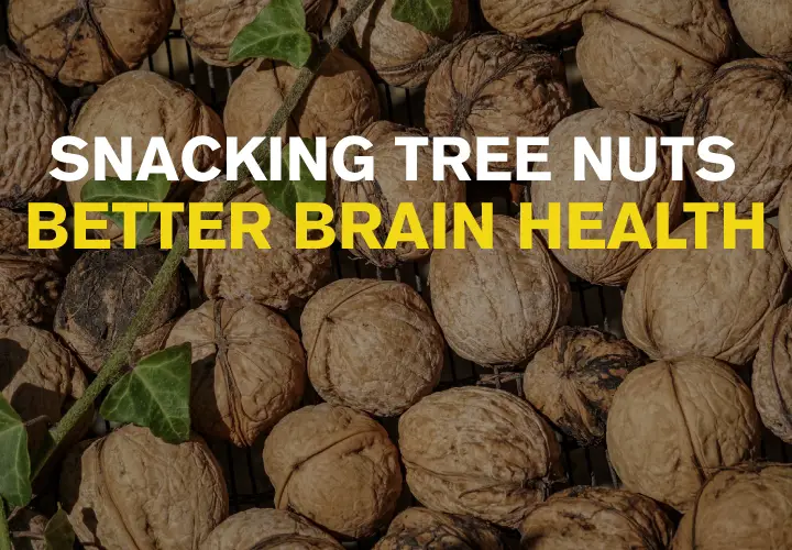 8 Tree Nut Snacks and Their BRAIN HEALTH Benefits