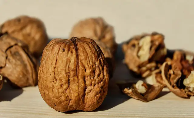 walnuts benefits for as a snack