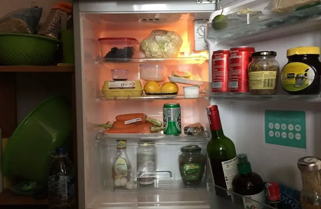 best-dorm-mini-fridge